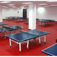 1.8m Width Relle PVC Vinyl Table Tennis Court sàn thảm cho đào tạo