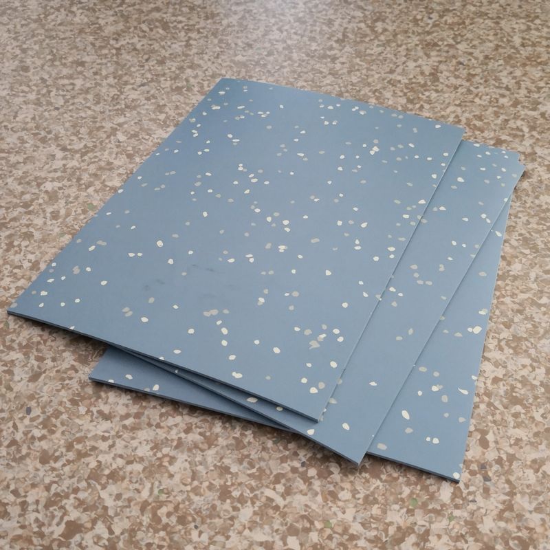 Đường cao su mật độ cao chống cháy cho trường học Sân bay Vinyl sàn cuộn
