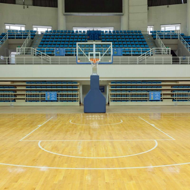 Professional Interior Sports Interlocking Flooring cho các giải pháp sàn thể thao cao cấp