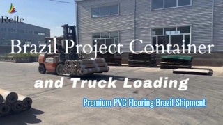 Dự án Brazil Đang tải container và xe tải